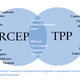 Image for article titled Should India join the Trans-Pacific Partnership?